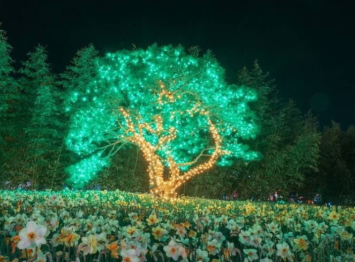 태안 가볼만한곳 베스트 10