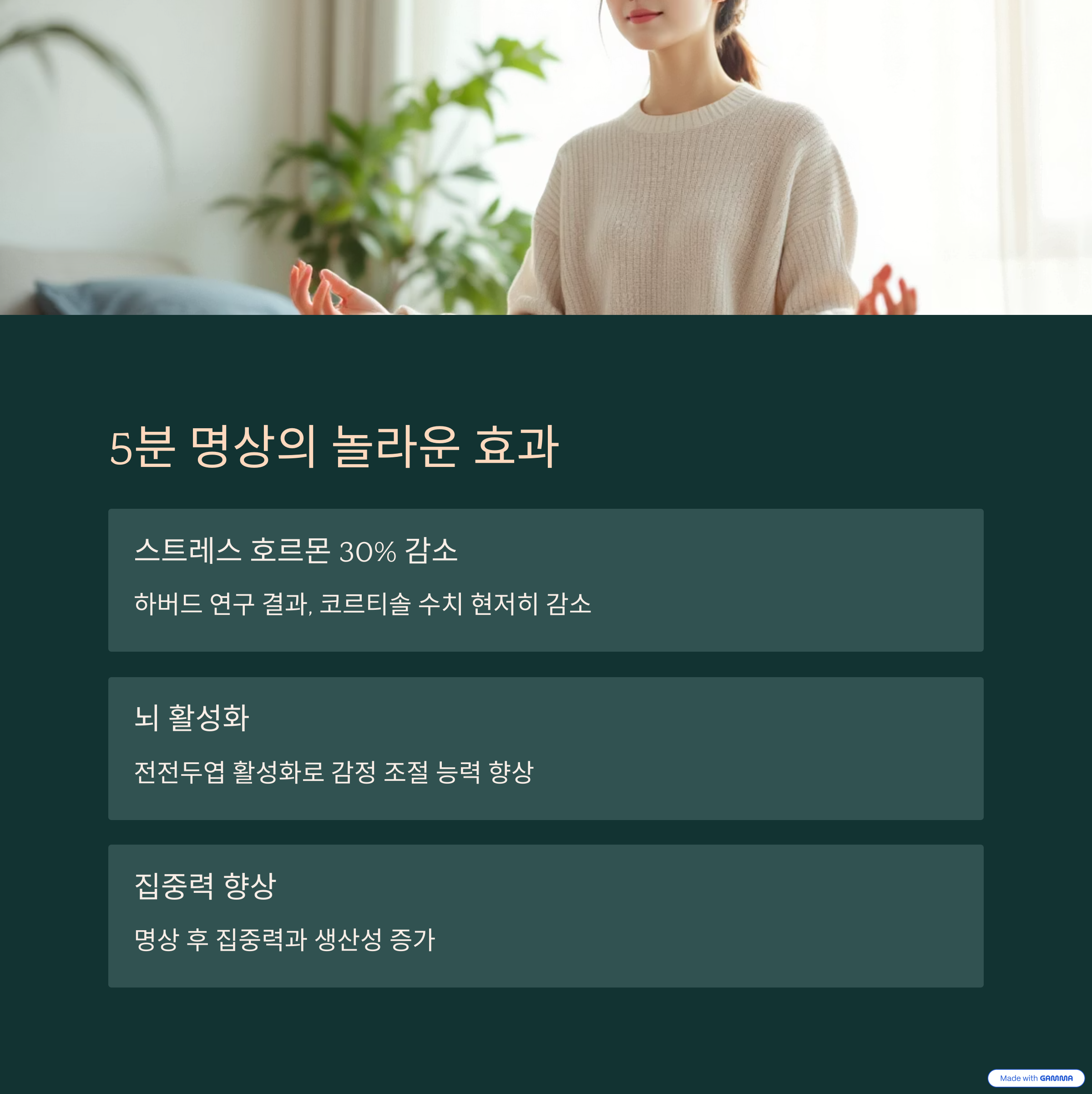 스트레스 관리와 정신 건강 개선법