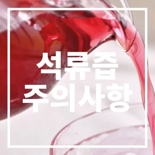 석류즙 부작용