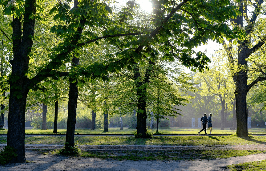 20대에 꼭 필요한 영양제 BEST 7 : 건강한 습관의 시작
