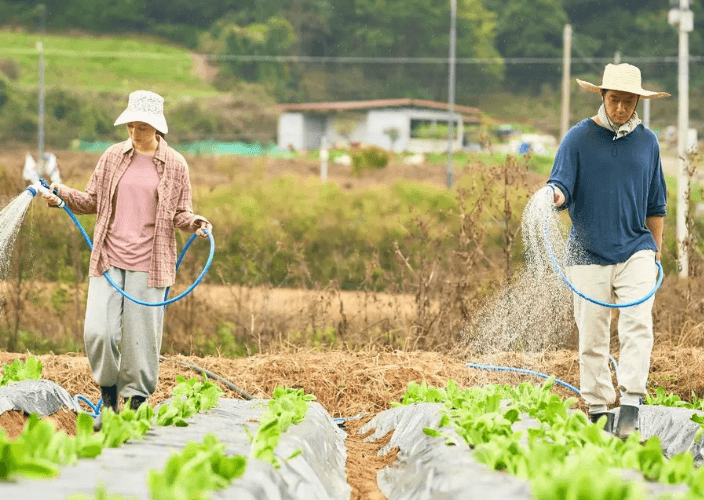 연기 중인 손석구