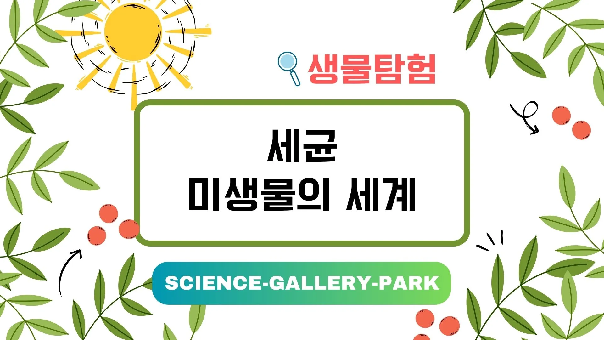 세균, 미생물의 세계