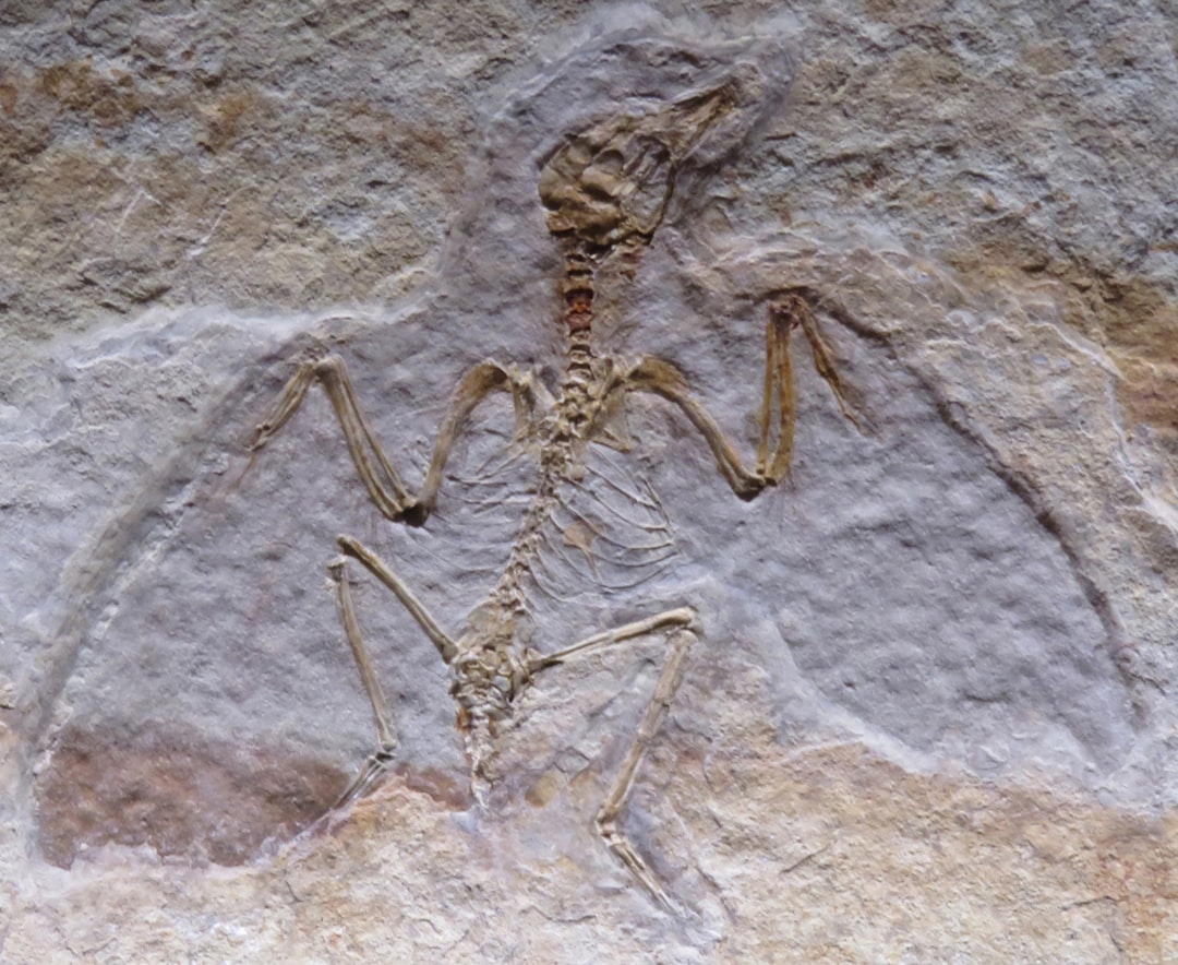 Paleolithic
