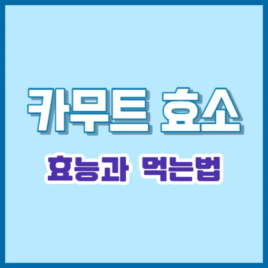 카무트 효소 효능