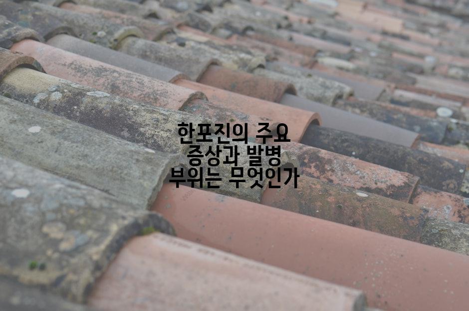 한포진의 주요 증상과 발병 부위는 무엇인가