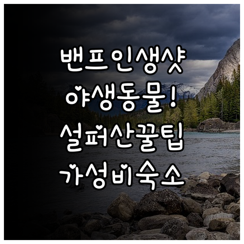 캐나다 밴프 설퍼 산 정상 야생동물 ..