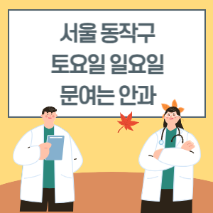서울 동작구 토요일 일요일 안과 진료 병원 리스트