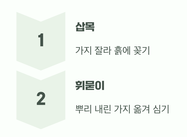 땅에 닿는 곳마다 뿌리 내리는 기특함
