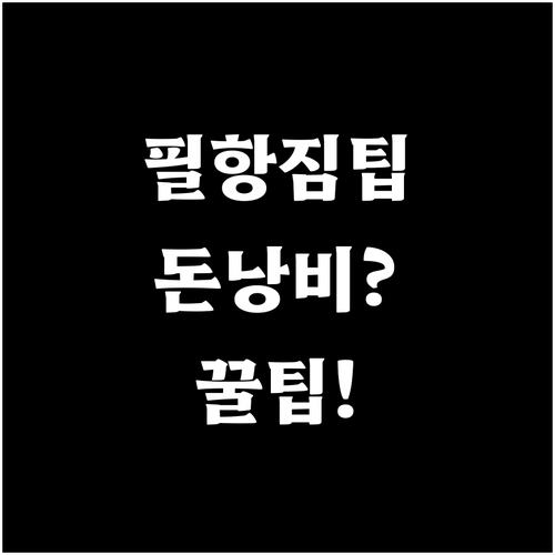 필리핀항공 짐 때문에 돈 낭비하지 않..