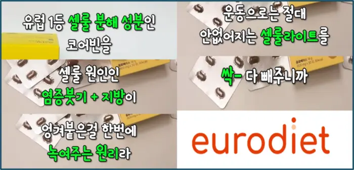유로디에트 코어빈 내돈내산 후기 효과 부작용 복용법 가격