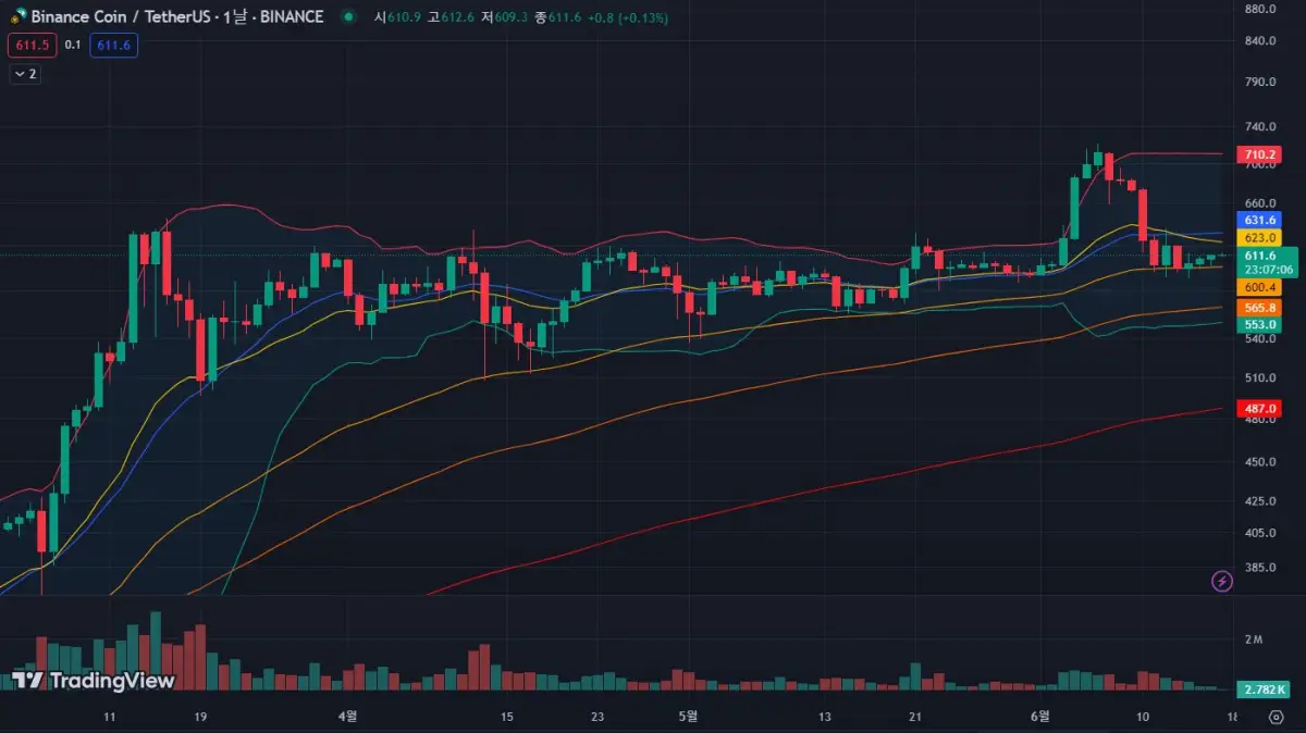 BNB코인-일봉-차트