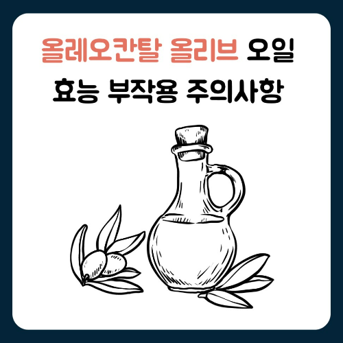 올레오칸탈 올리브 오일 효능 부작용 주의사항