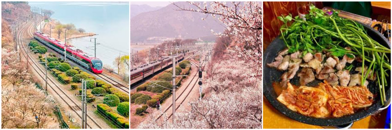 원동역 매화사진, 미나리 삼겹살 사진