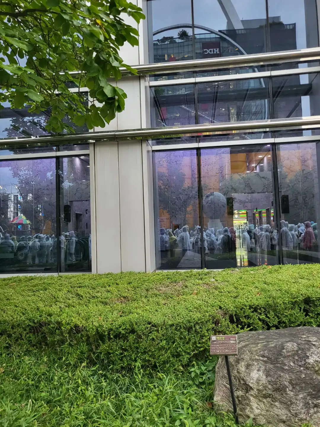 창문에 비친 줄 서있는 모습