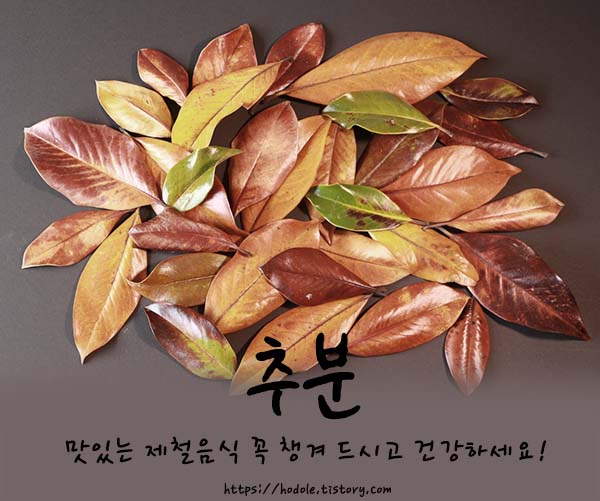 추분건강하십시오