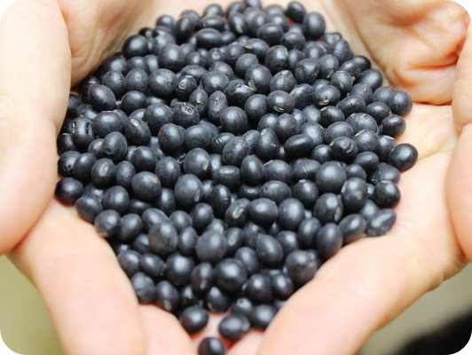 갑상선-기능-저하증-증상