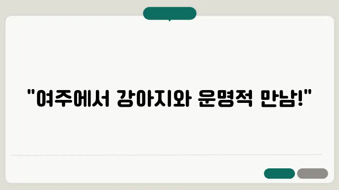 여주강아지보호소 컴투펫위탁보호센터