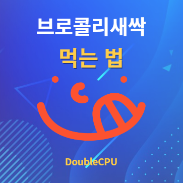 브로콜리새싹 먹는법