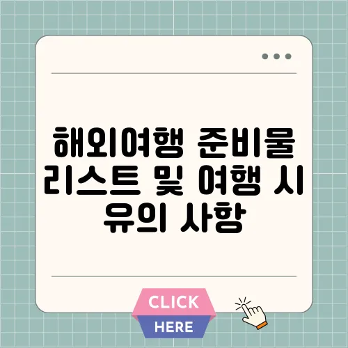 해외여행 준비물 리스트 및 여행 시 유의 사항