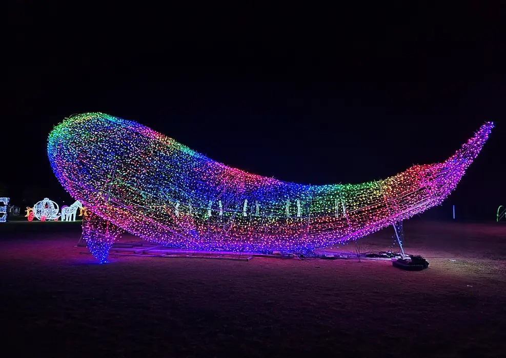 2025 대덕 물빛축제 주차정보, 축제 라인업 예약하기