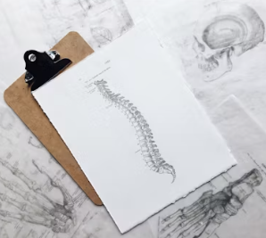 허리 디스크 증상 운동법 원인 관리법