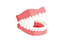 잇몸질환 이미지