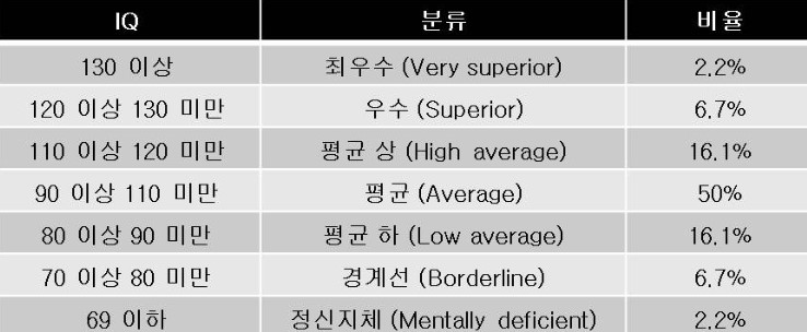 경계선 지능장애 웩슬러 검사 IQ