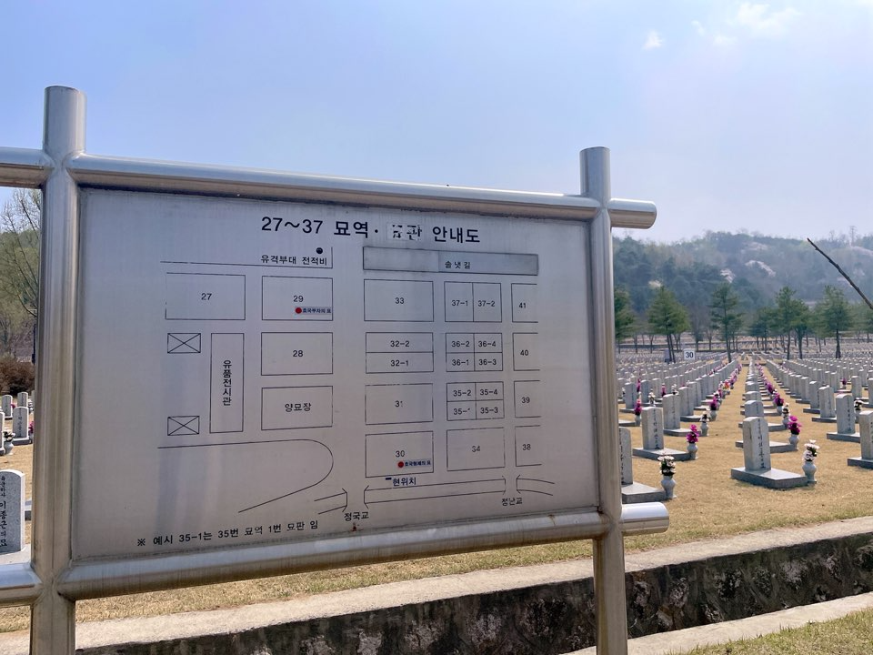 벚꽃