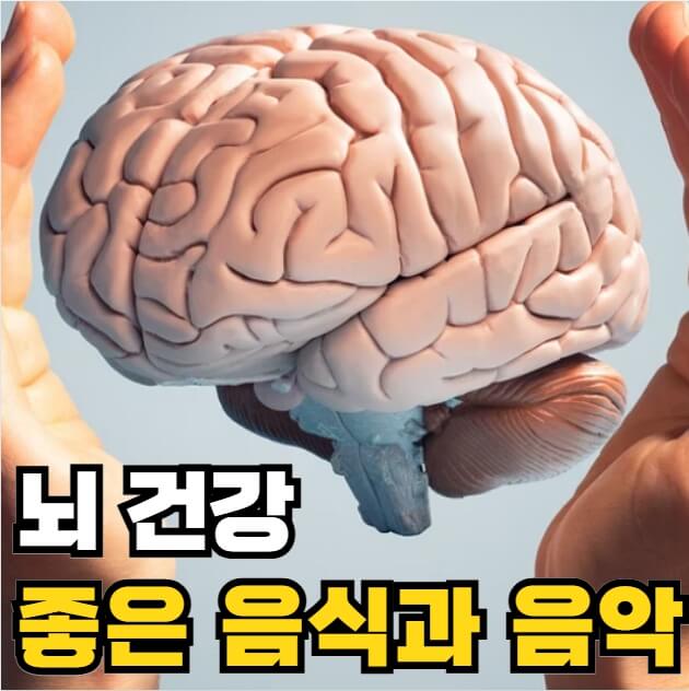 뇌건강에 좋은 음식
