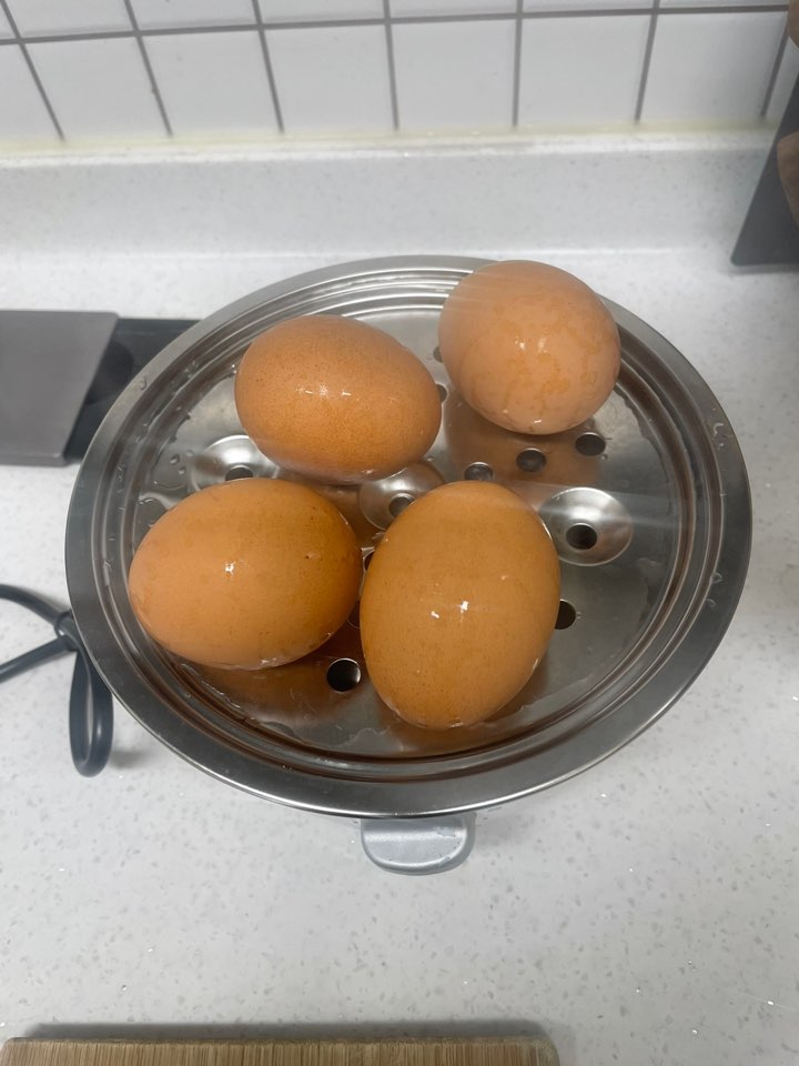 소형전기찜기 사용법 (출처: 라쿠진 홈페이지)