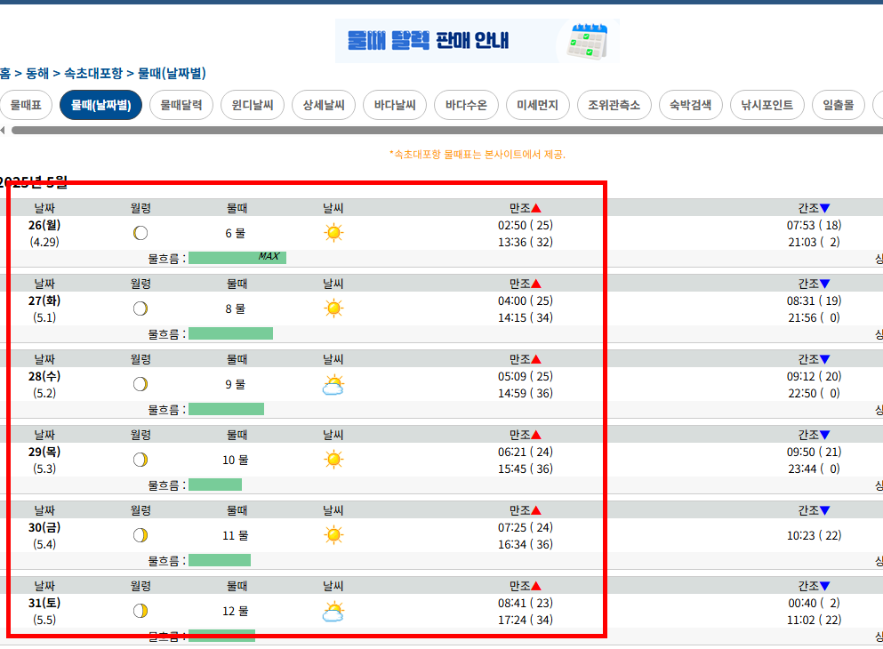 동해 물때표 확인방법