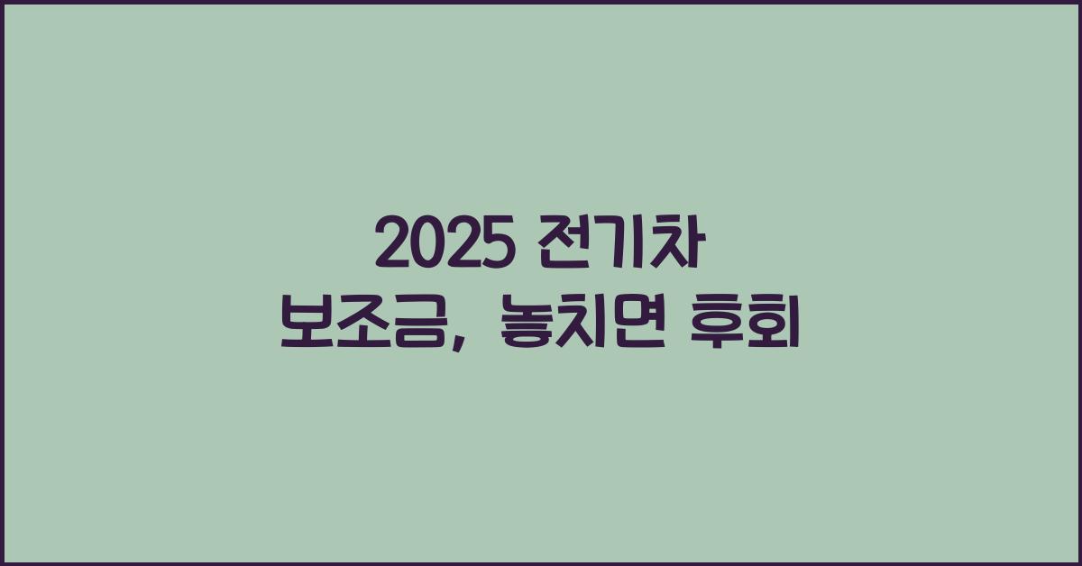 2025 전기차 보조금