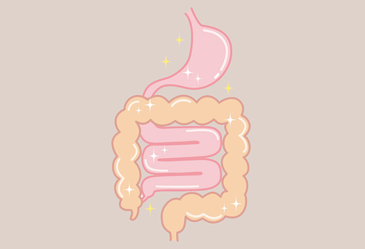 건강한-장-모습