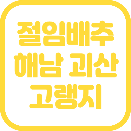 절임배추 20kg 몇포기 해남절임배추 괴산절임배추 고랭지절임배추 특징 가격