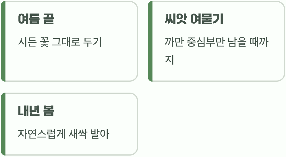 내년을 기약하는 똑똑한 씨앗 받기