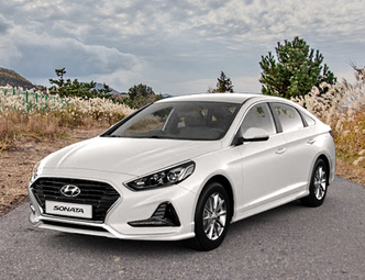 뉴라이즈 쏘나타