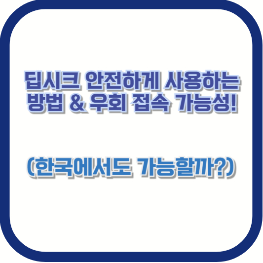딥시크 안전하게 사용하는 방법 &amp; 우회 접속 가능성! (한국에서도 가능할까?)