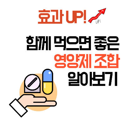 영양제조합