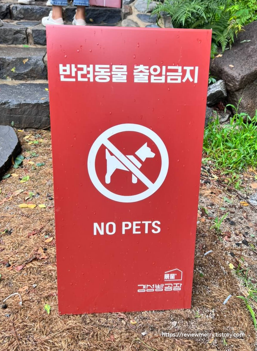 반려동물 출입금지 펫말