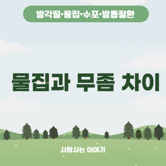 잦은 발수포, 수포형 무좀일까? 물집과 무좀차이 feat. 자가진단, 자가치료방법