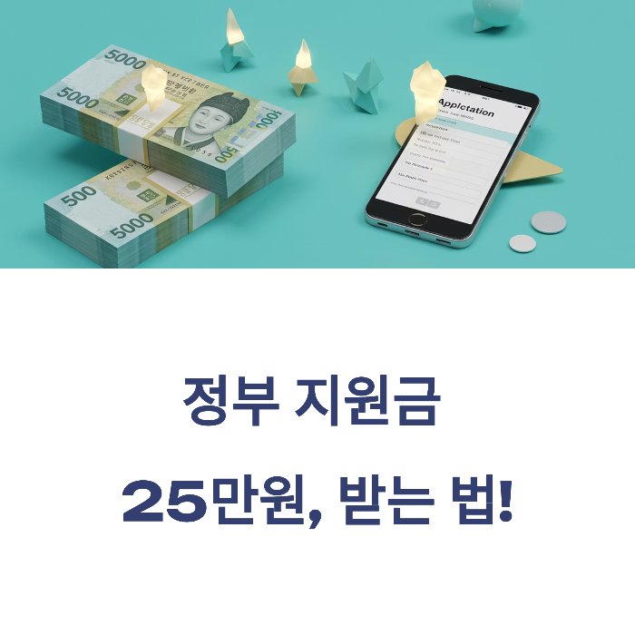 정부 지원금 25만원