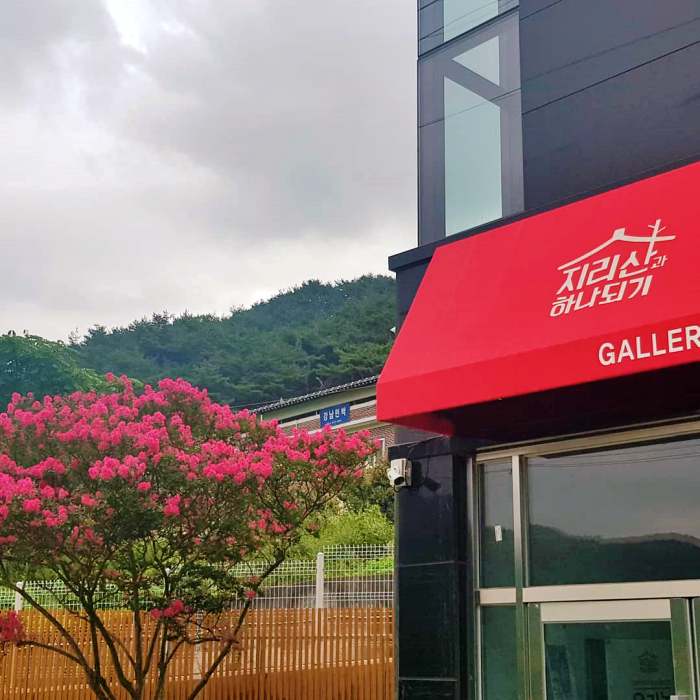 생방송오늘저녁 구례 산수유 술빵 머핀 제빵 염색 지리산 귀촌 체험 카페