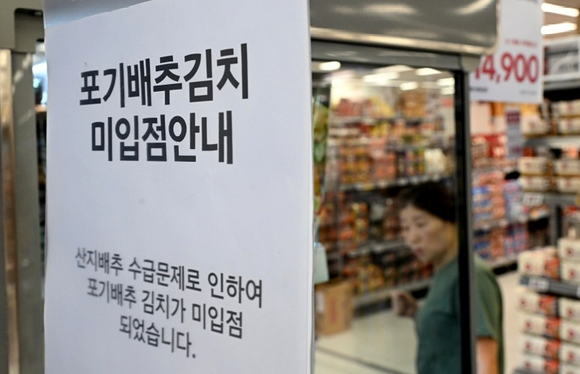 만 포기의 절인 배추 품절