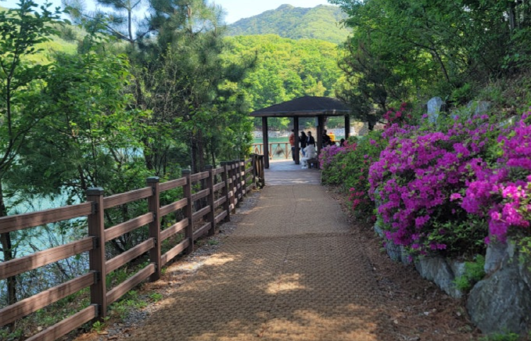 마장호수 출렁다리