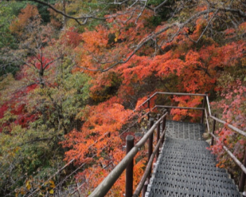 단풍 명소 설악산