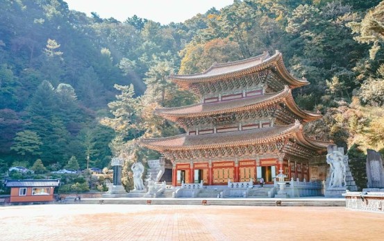 [단양 여행지 추천] 단양 가볼만한곳6. 구인사