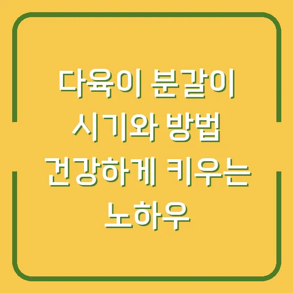 다육이 분갈이 시기와 방법 건강하게 키우는 노하우