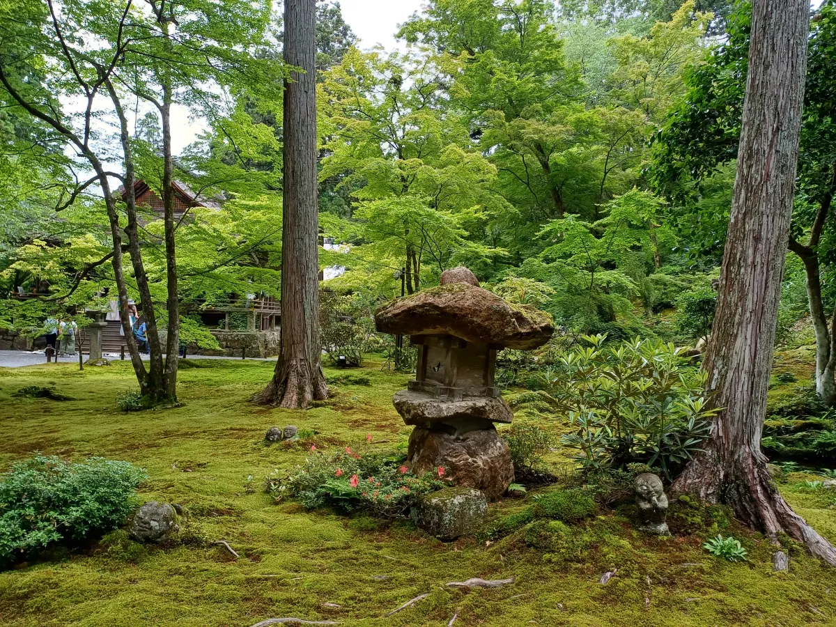 산젠인_이끼산책중_보이는_곳