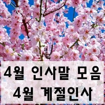 4월 인사말 모음 문구 이미지 일러스트_7