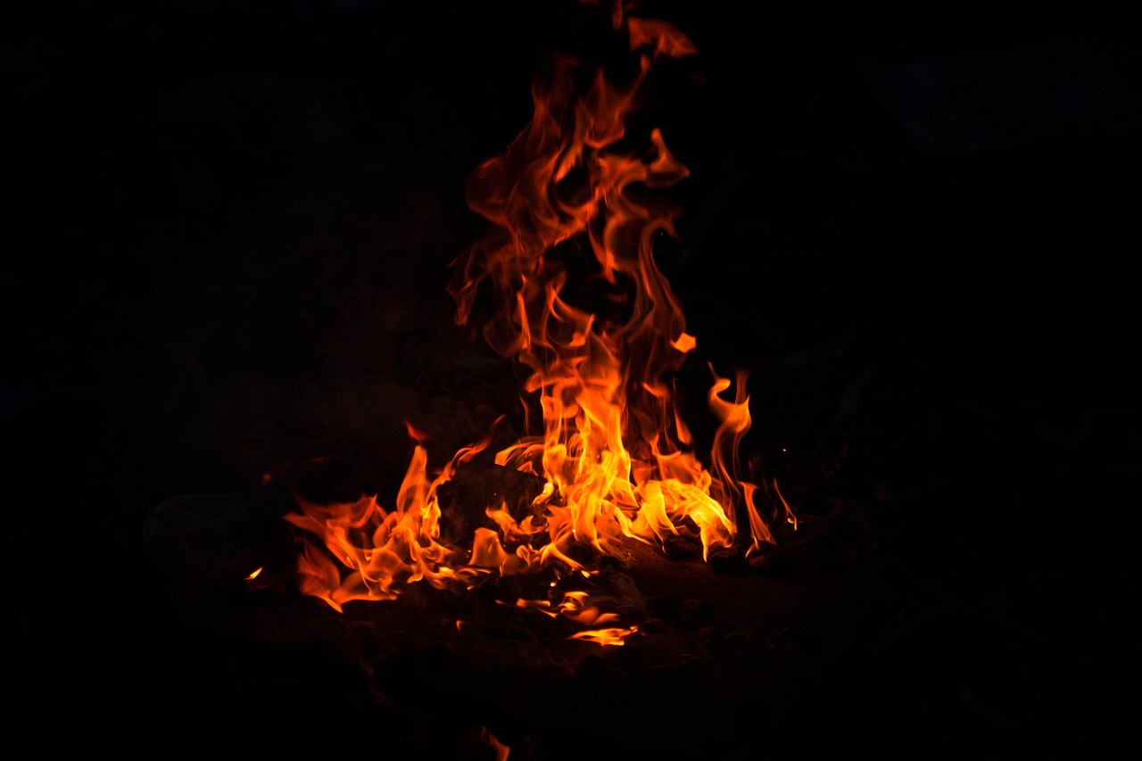 국가소방 동원령